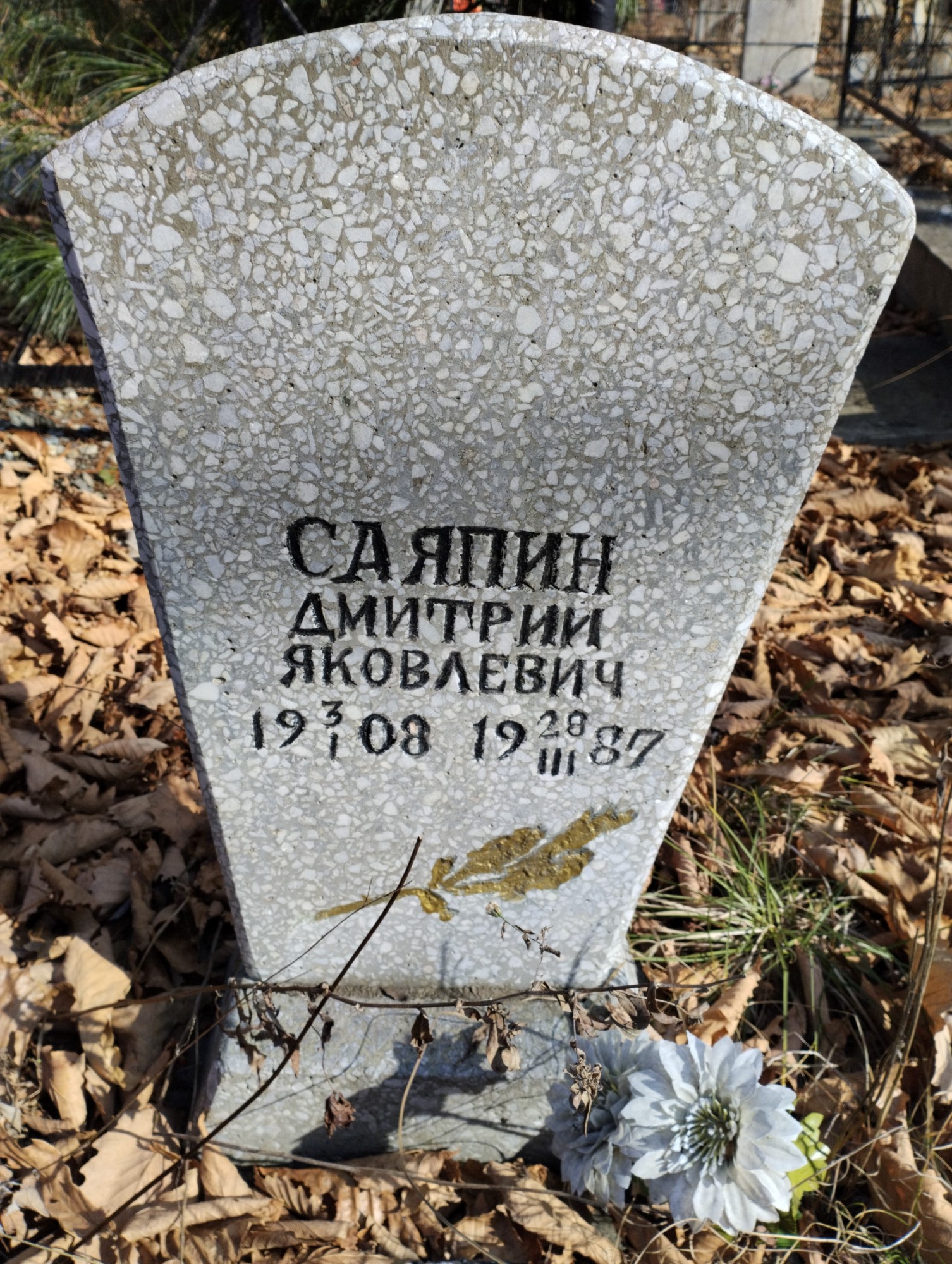 Саяпин Дмитрий Яковлевич