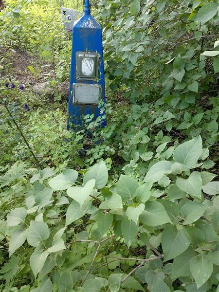 Токарев Исай Иванович