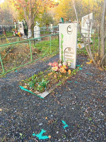 Валишевский Сергей Владимирович