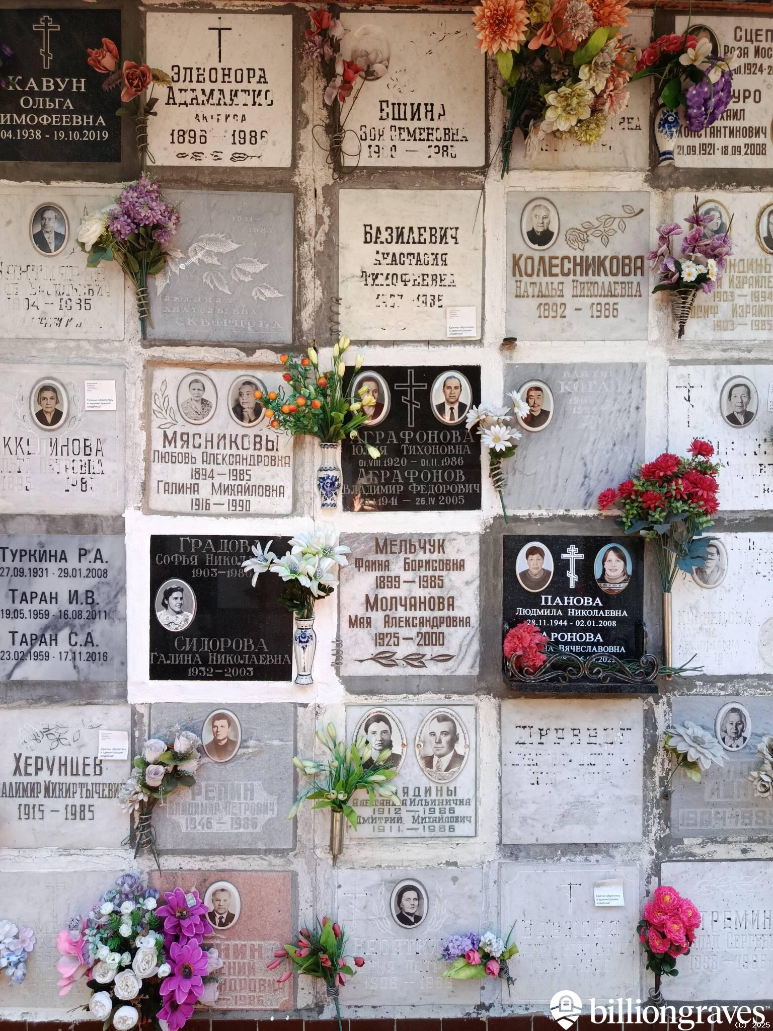 Панова Людмила Николаевна