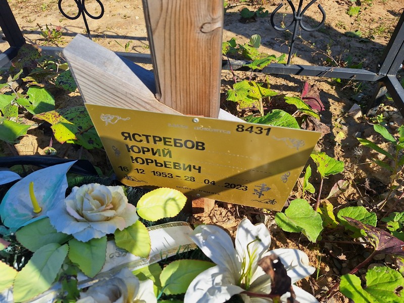 Ястребов