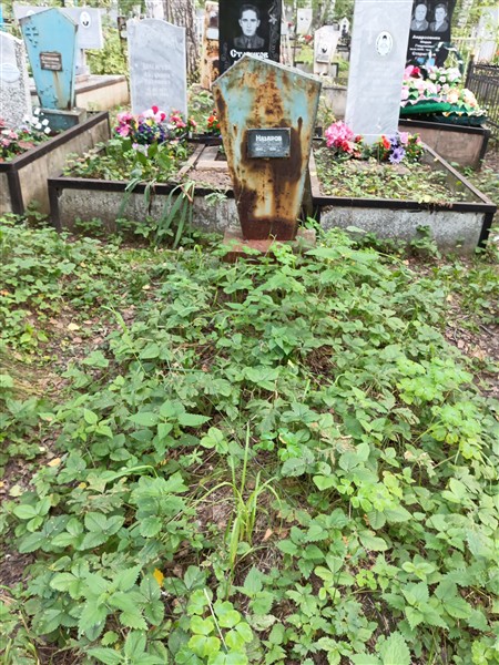Назаров Николай Иванович