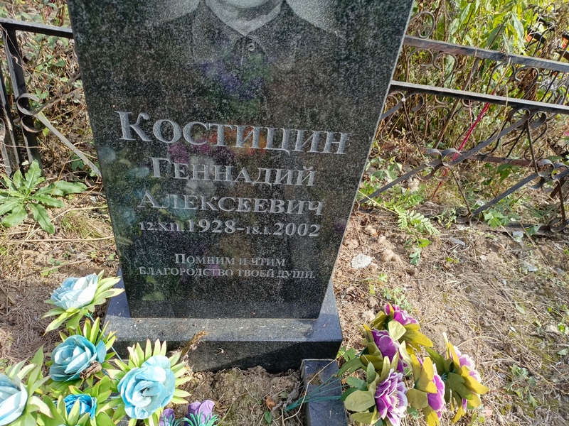 Костицин