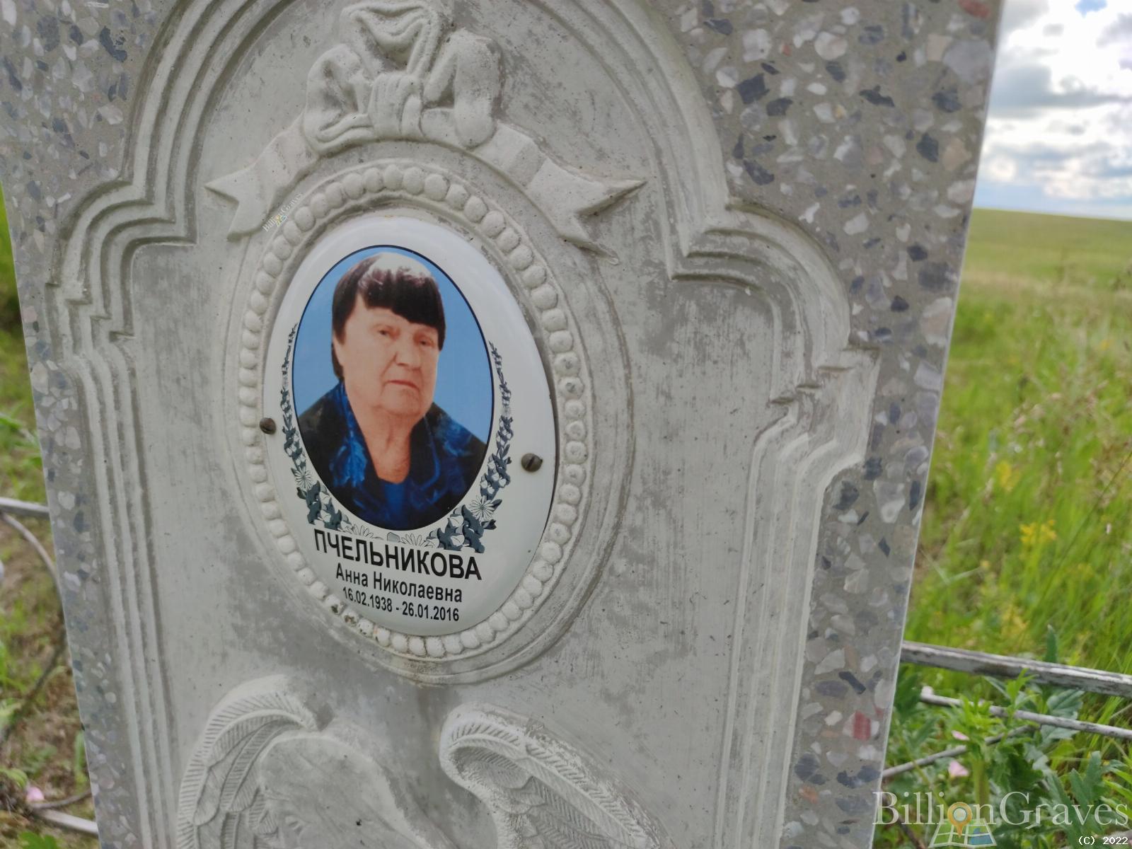 Пчельникова Анна Николаевна