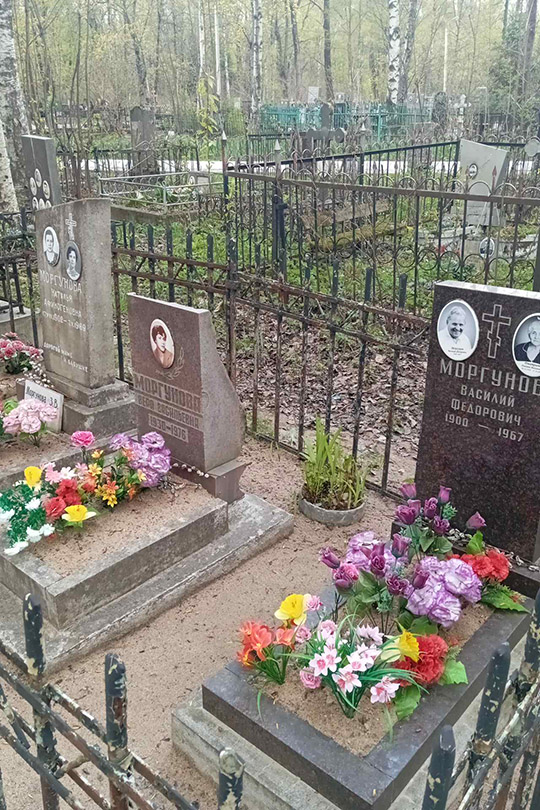 Дмитриева Альвина Васильевна