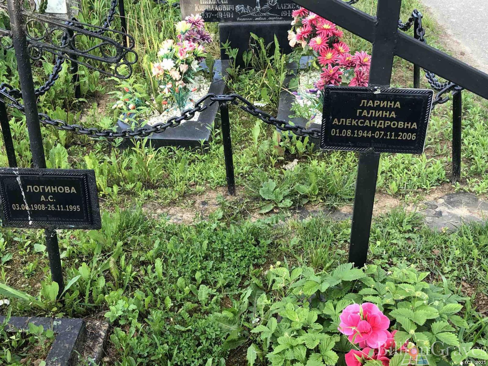 Ларина Галина Александровна