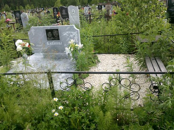 Бабин Владимир Петрович