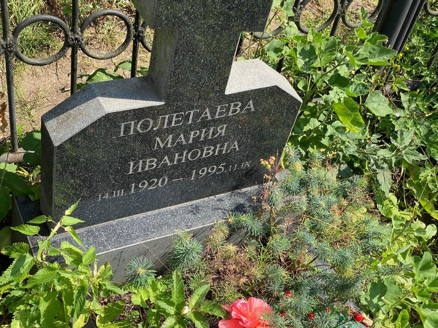 Полетаева