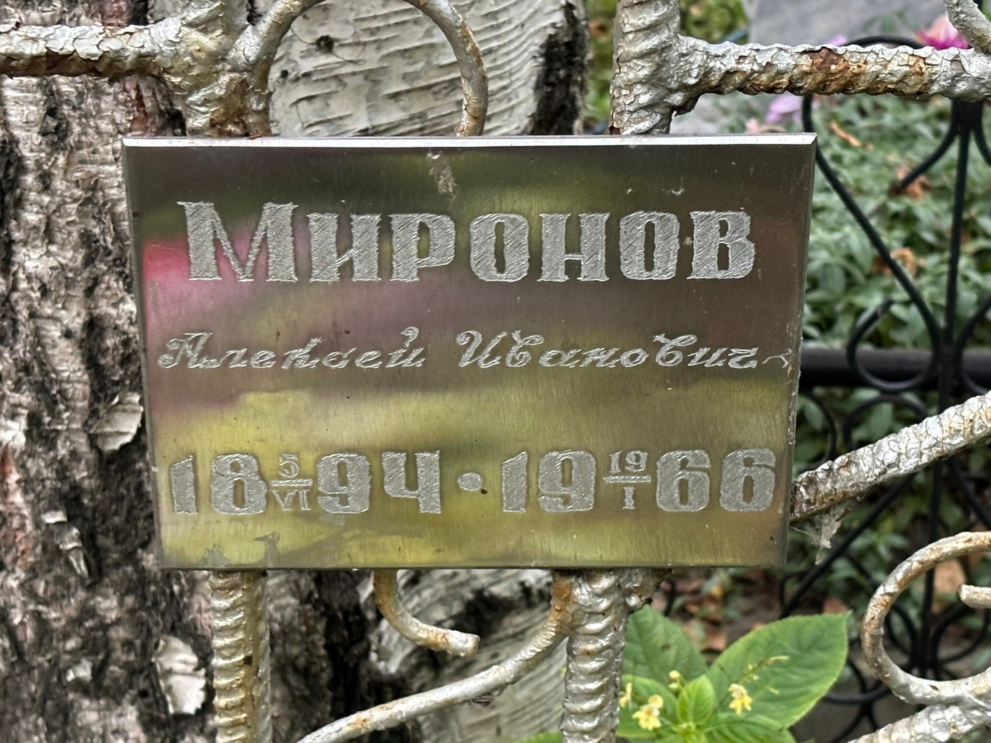 Миронов