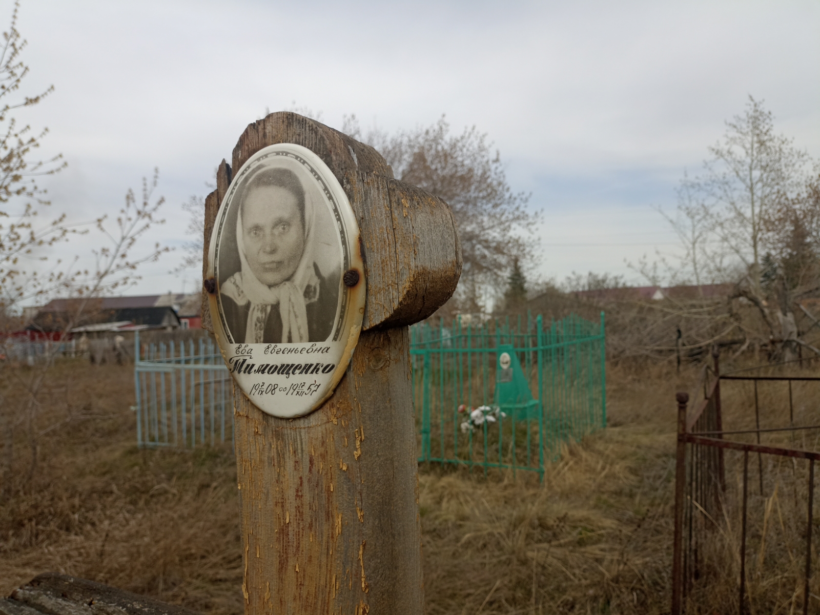 Тимощенко Ева Евгеньевна