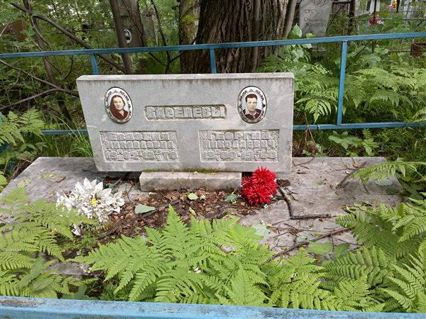 Васенев Георгий Николаевич