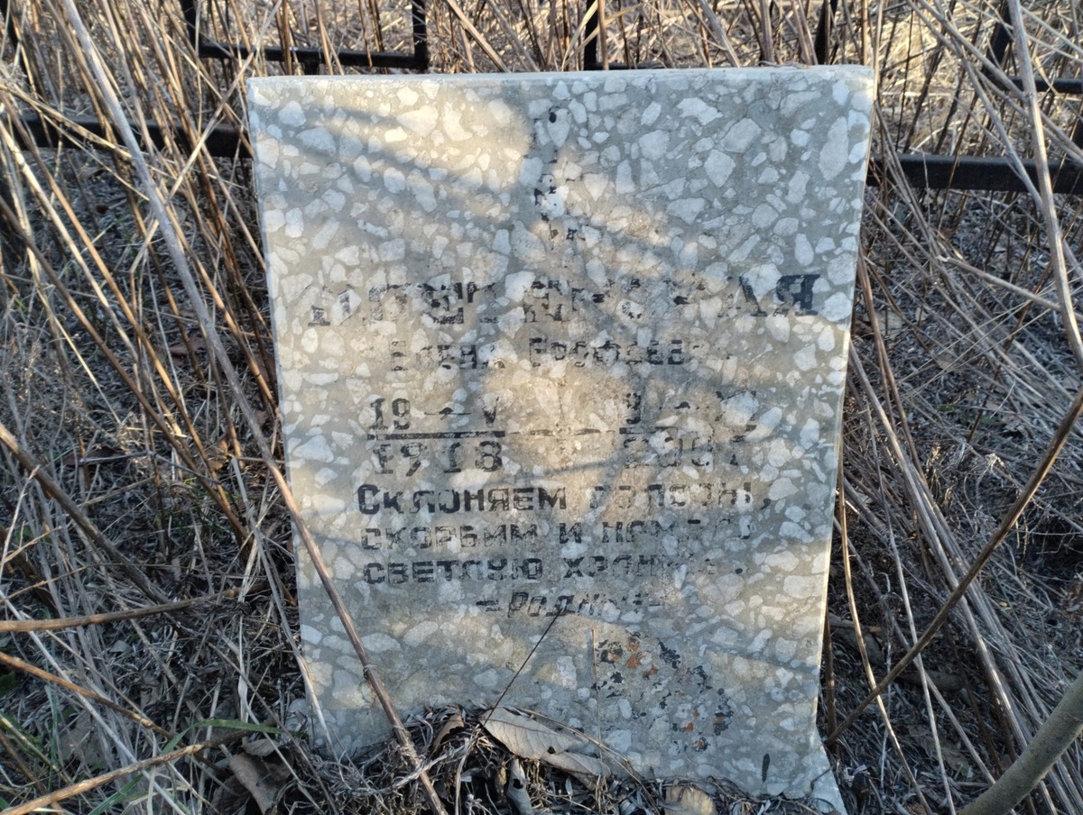 Плетенская Елена Ерофеевна