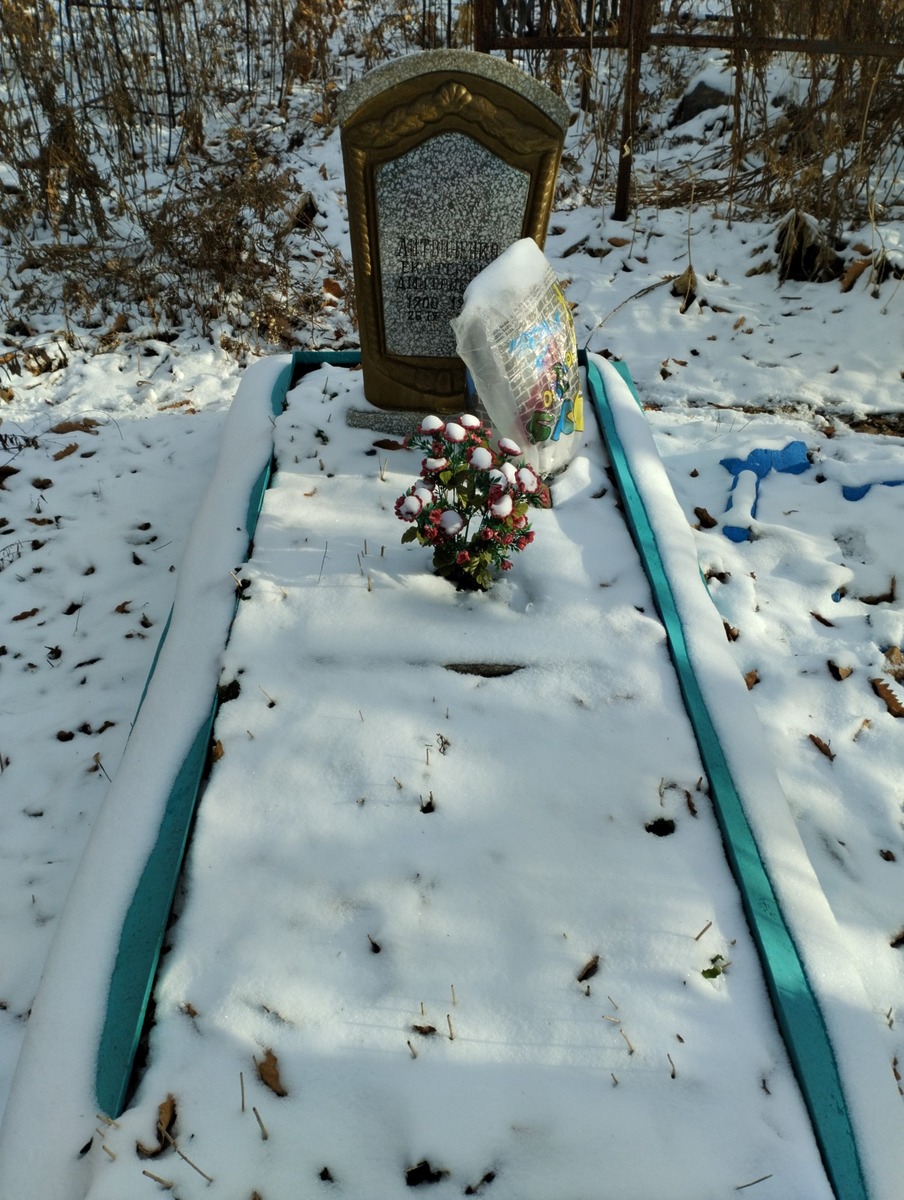 Литвиненко Екатерина Дмитриевна