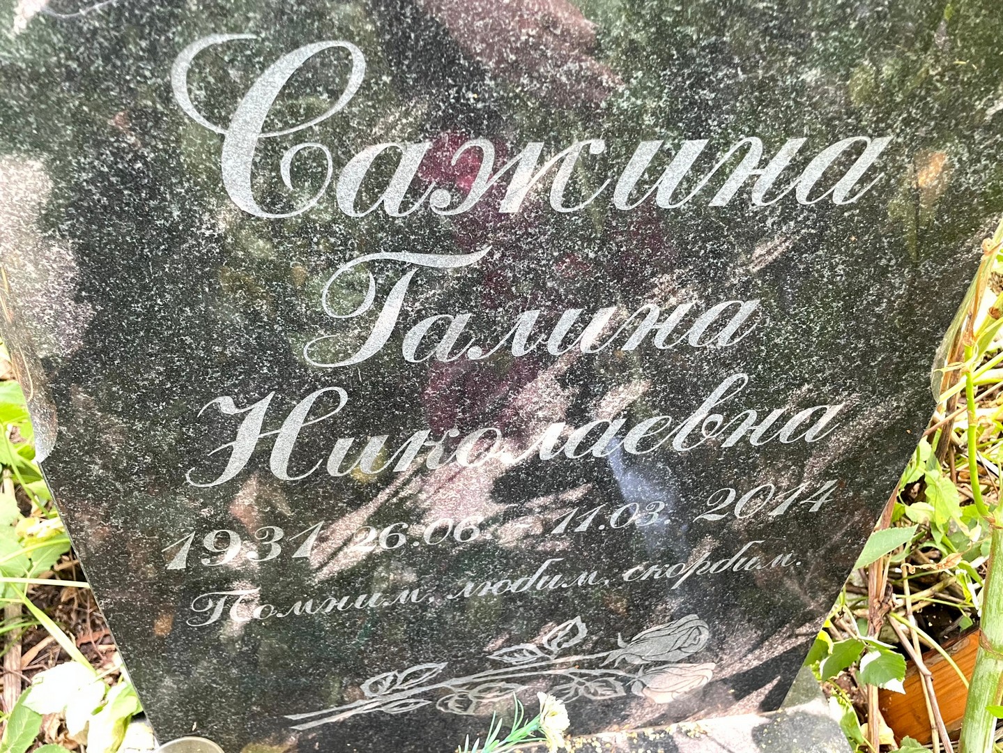 Сажина