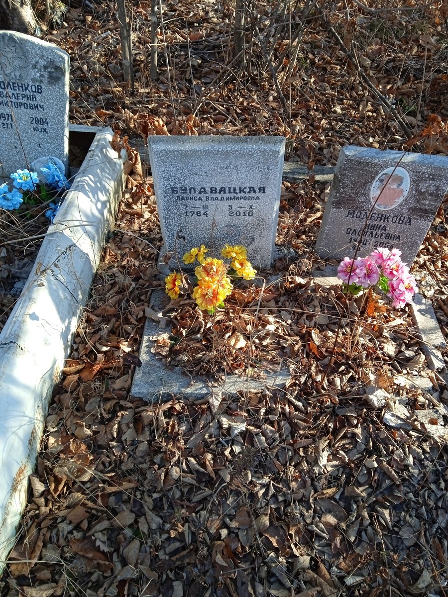 Булавацкая Лариса Владимировна