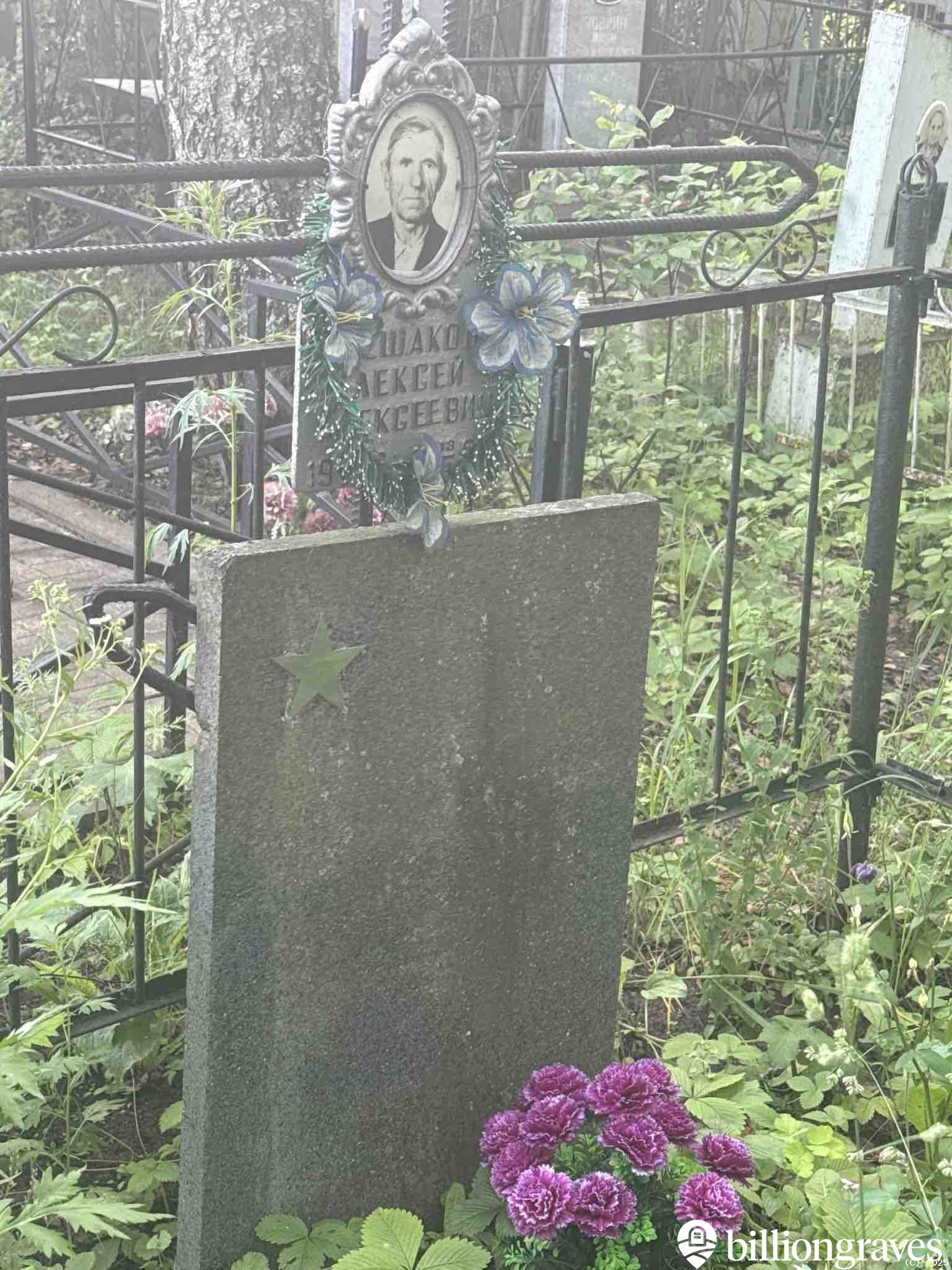 Плешаков Александр Алексеевич