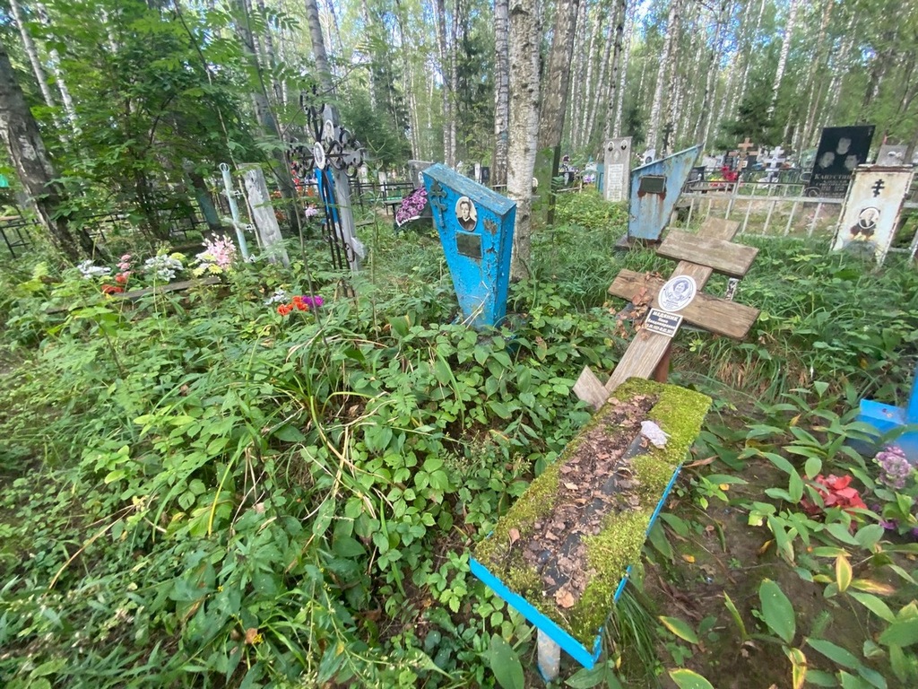 Медяник Нина Владимировна