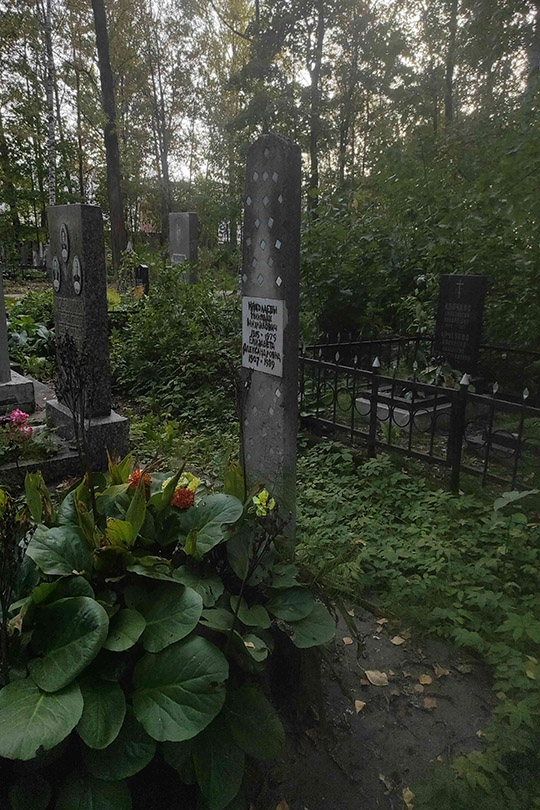 Николаева Елизавета Александровна