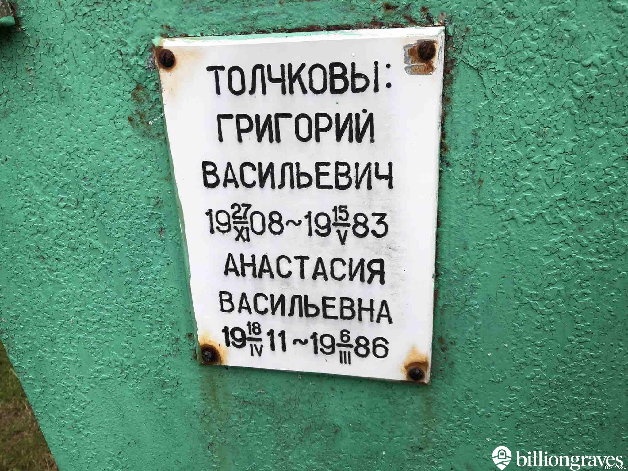 Толчкова Анастасия Васильевна
