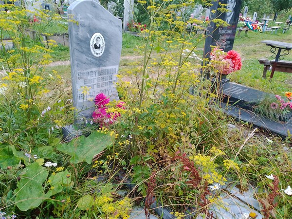 Перетыкина Евгения Сергеевна