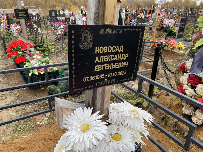 Новосад