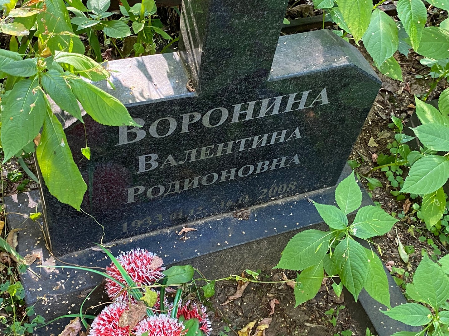 Воронина