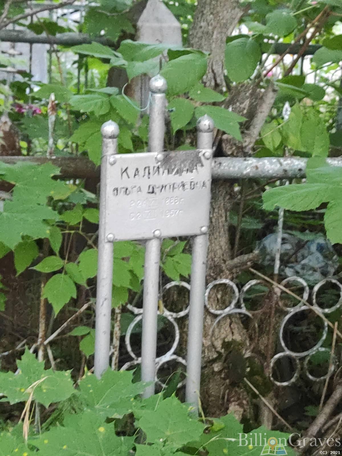 Калинина Ольга Дмитриевна