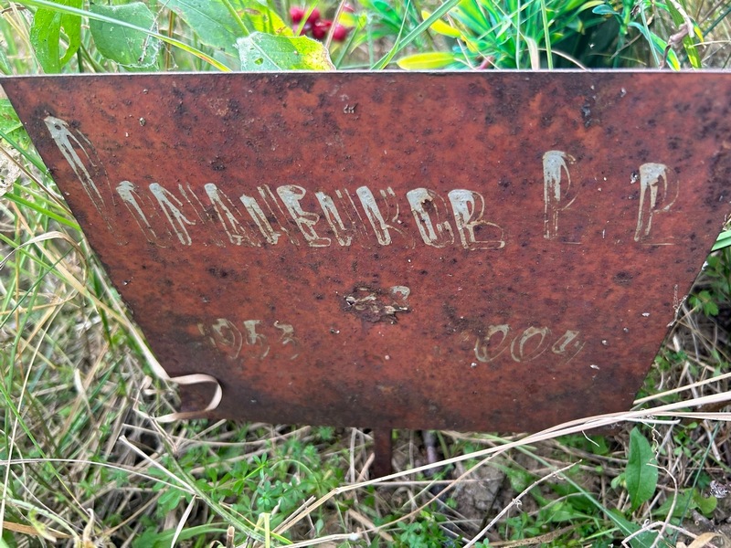 В. Романенков В.