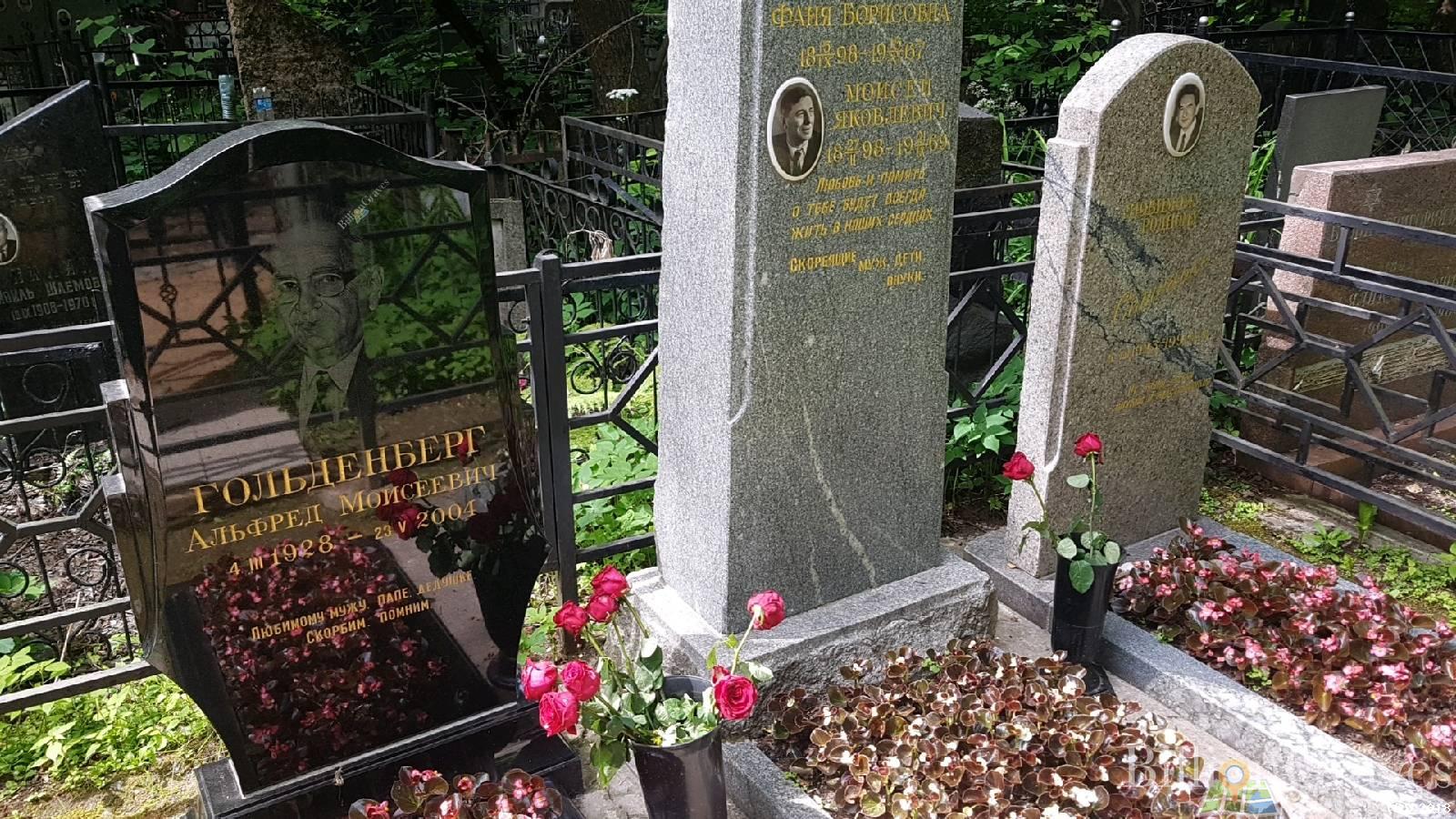 Гольденберг Альфред Моисеевич