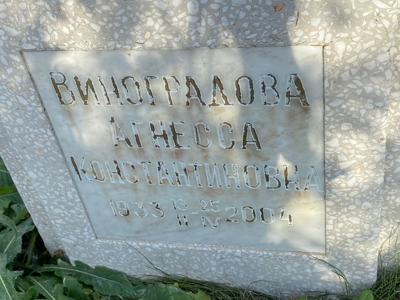 Агнесса Виноградова Константиновна
