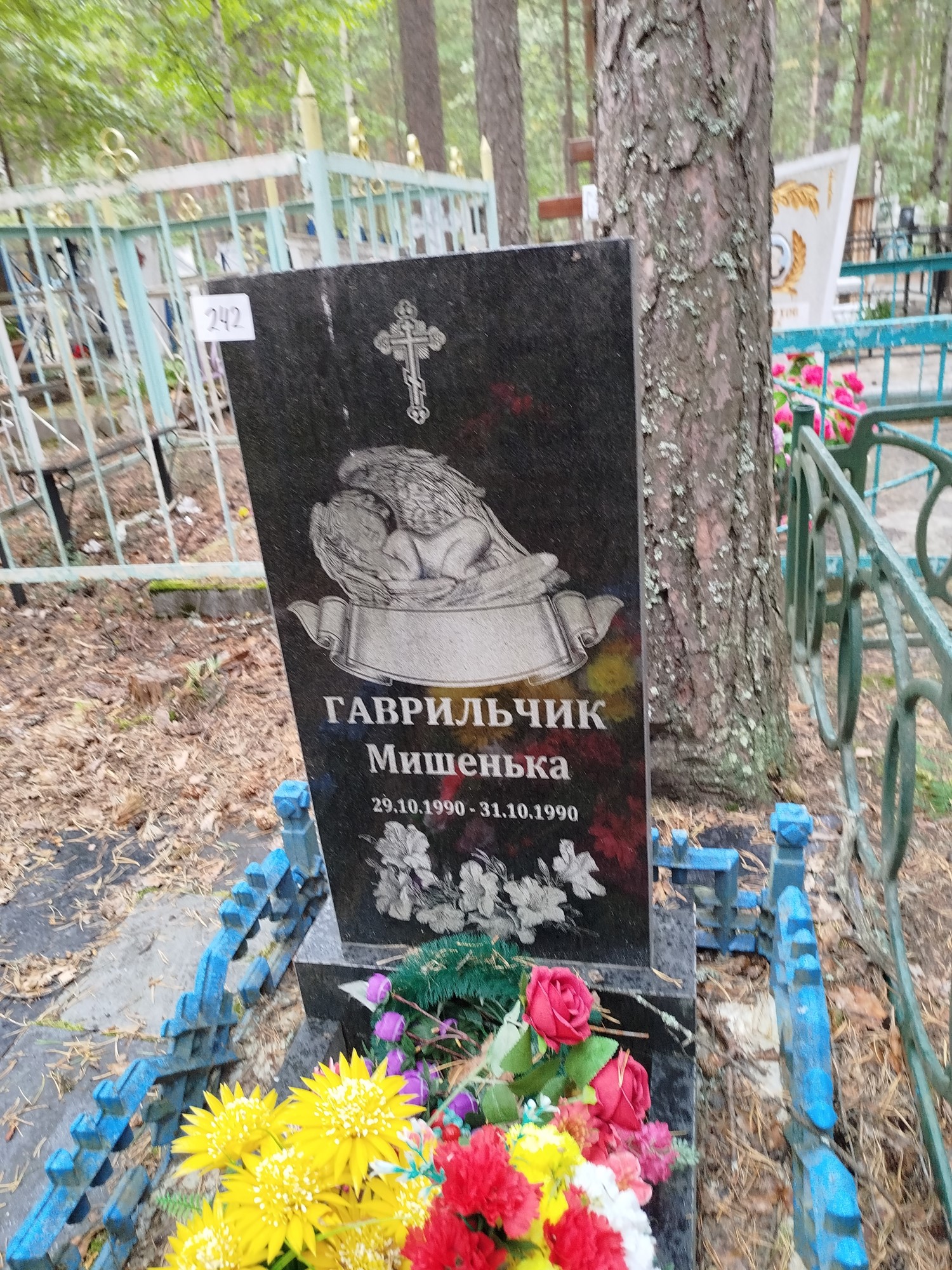 Гаврильчик Мишенька