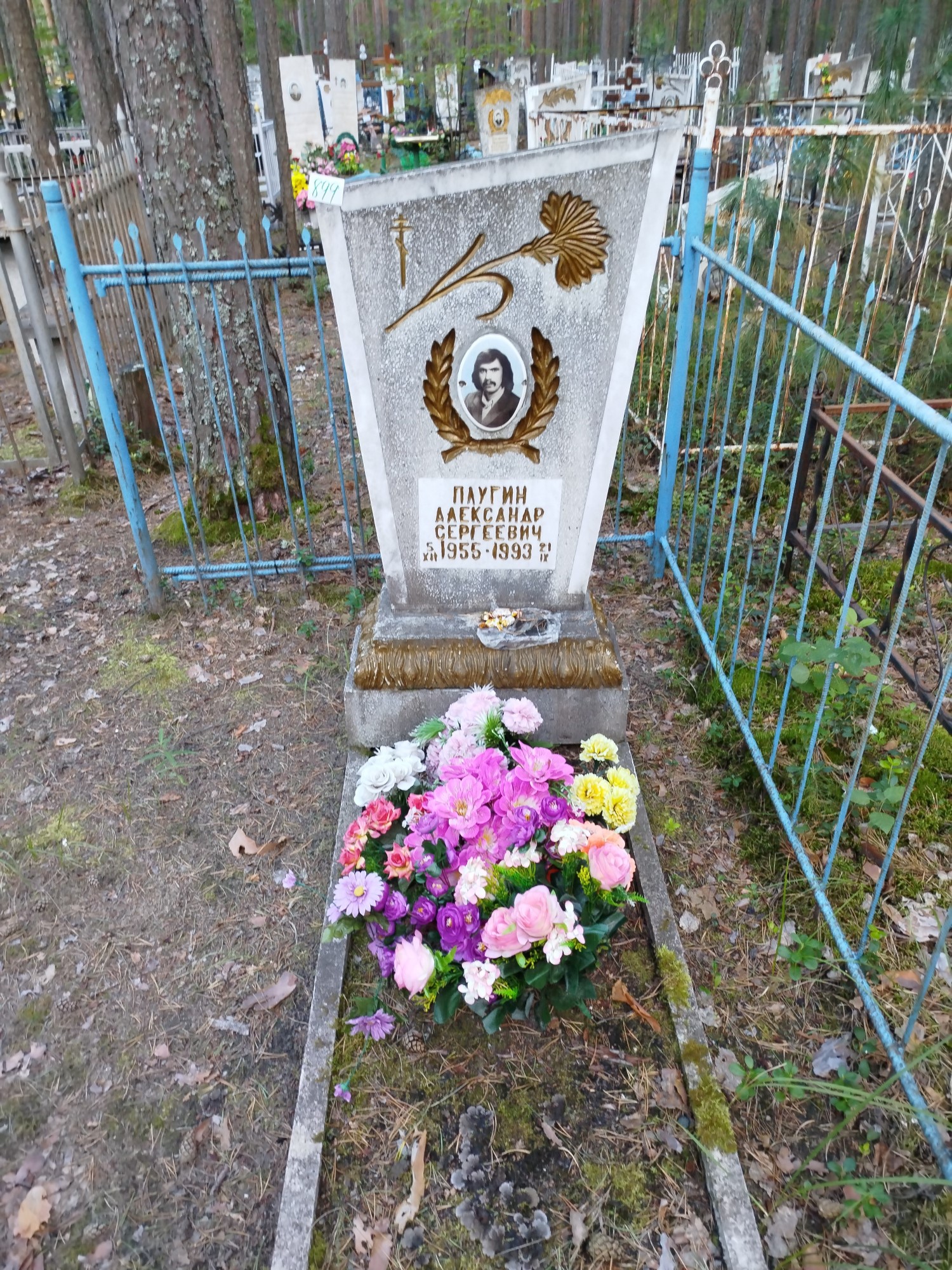 Плугин Александр Сергеевич