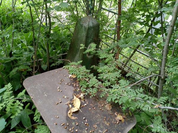 Парамошкина Лукерия