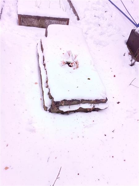 Быкова Наташа