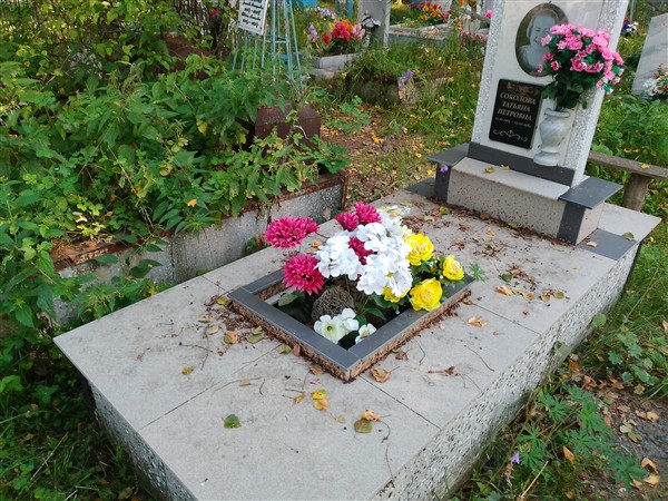 Соколова Татьяна Петровна
