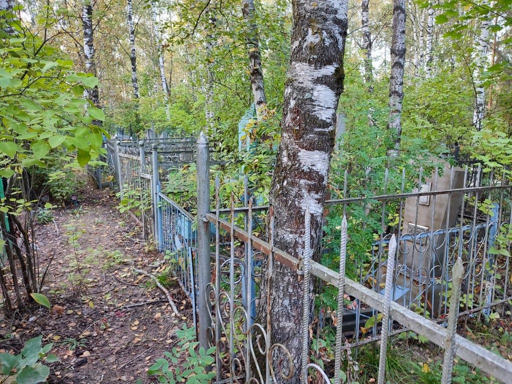 Писарев Семен Михайлович