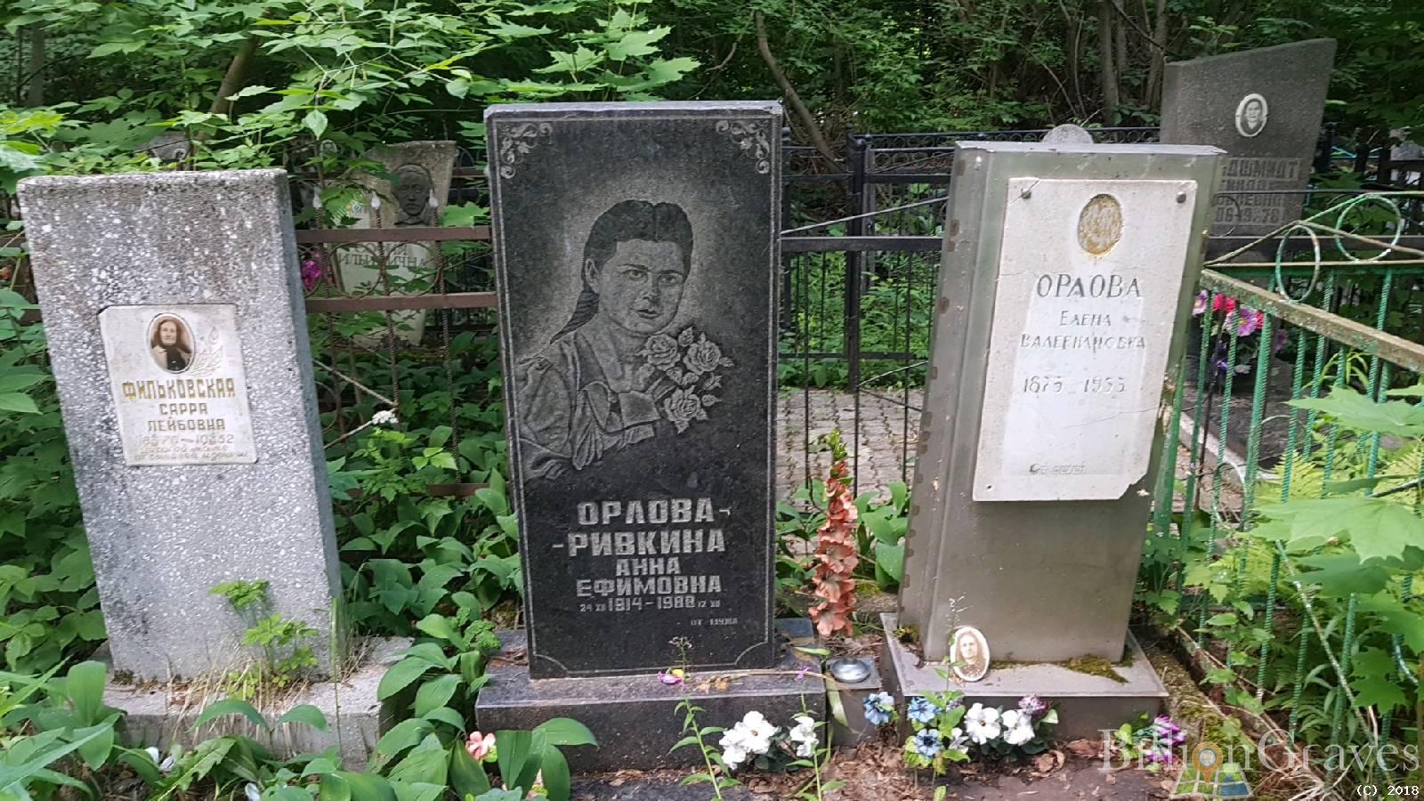 Орлова-Ривкина Анна Ефимовна