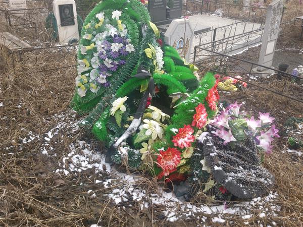 Шпагина Наталья Георгиевна