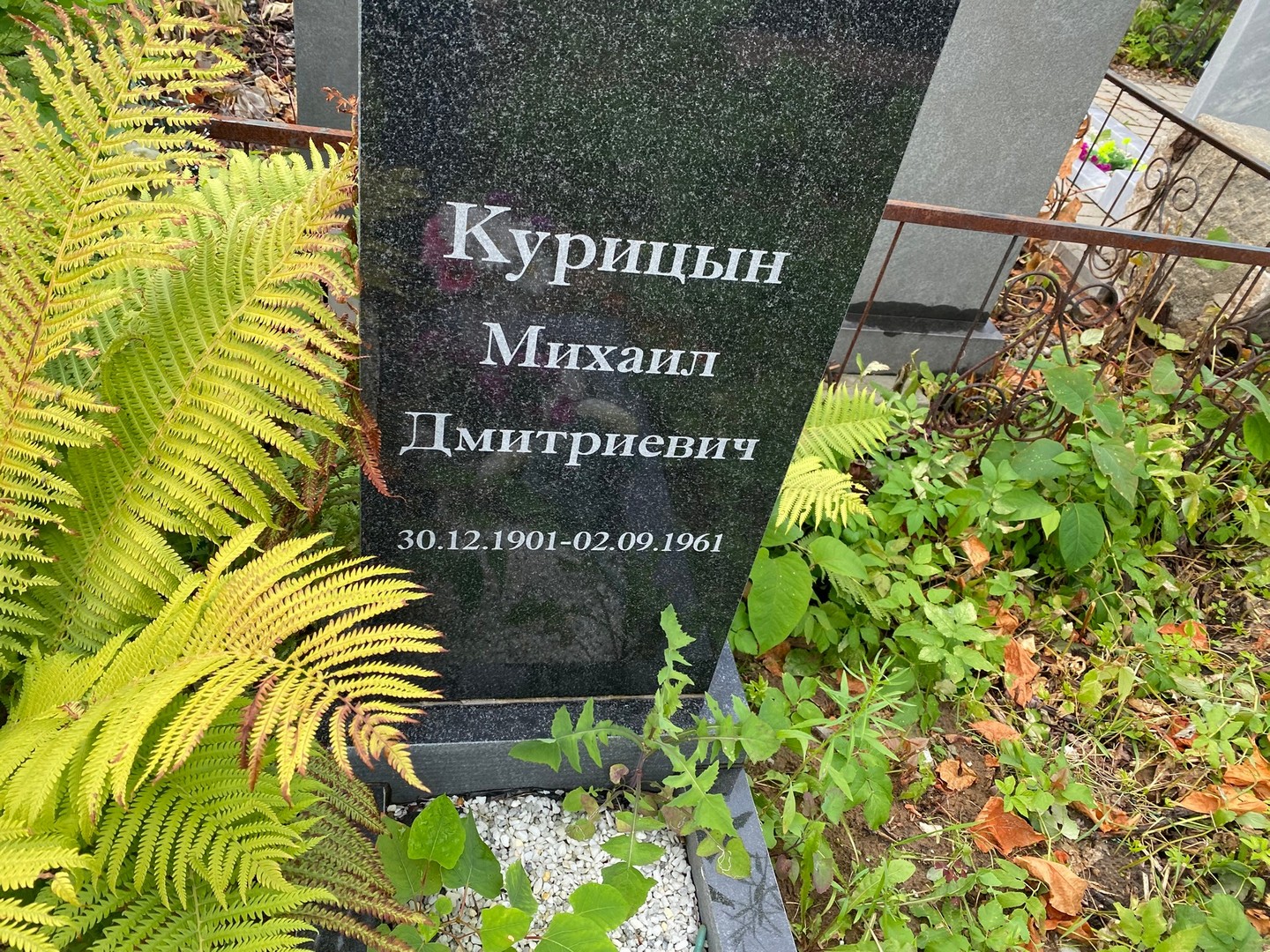 Курицын