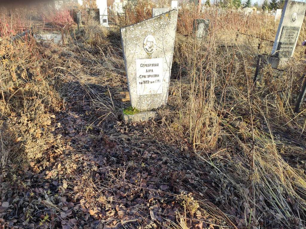 Серебряная Дора Григорьевна