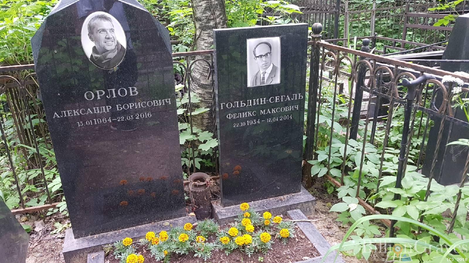 Гольдин Сегаль Феликс Максович