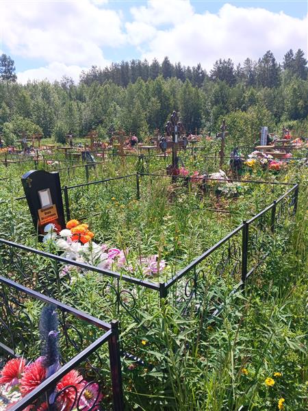 Шахмина Вера Андреевна