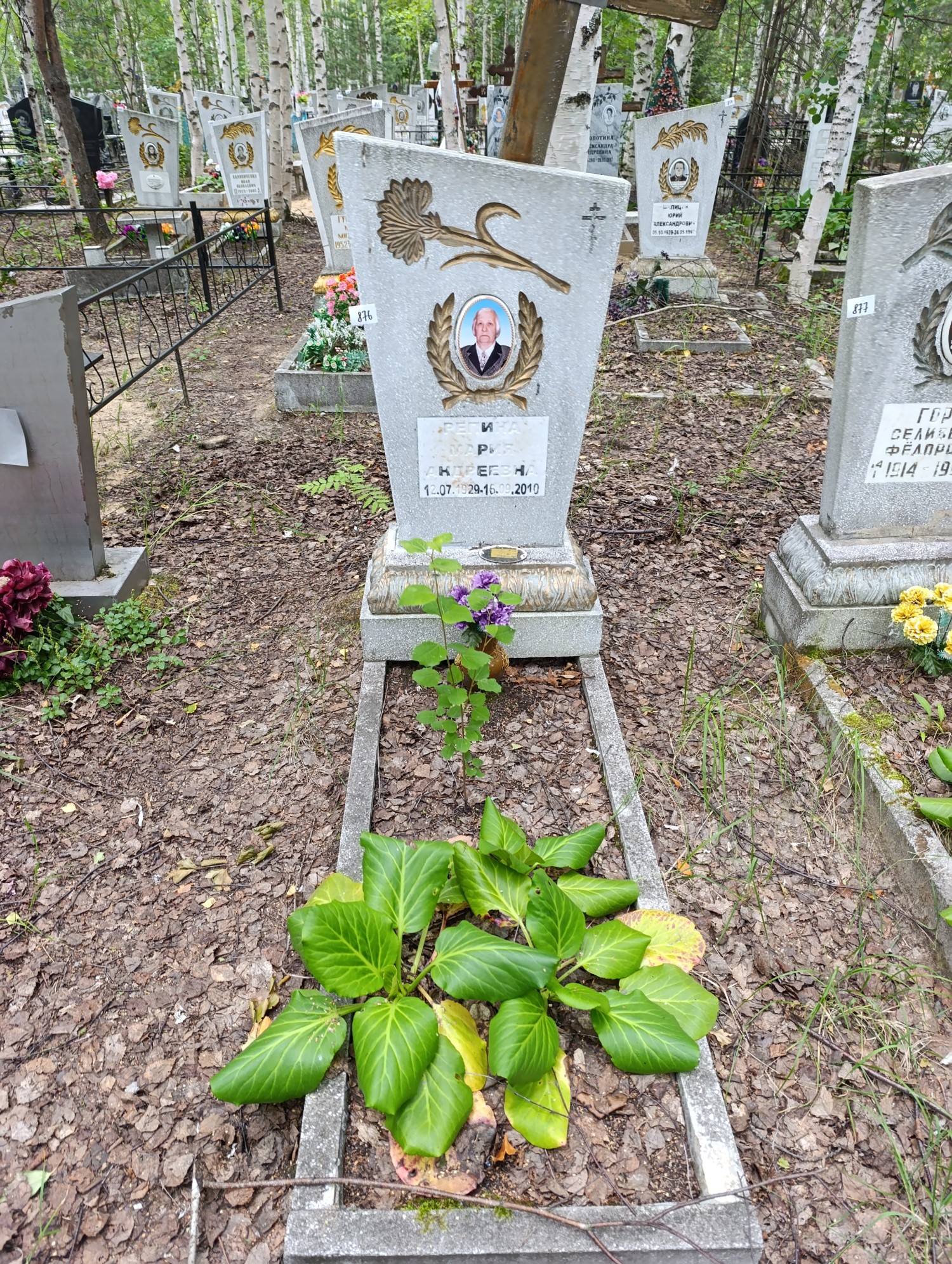 Репина Мария Андреевна