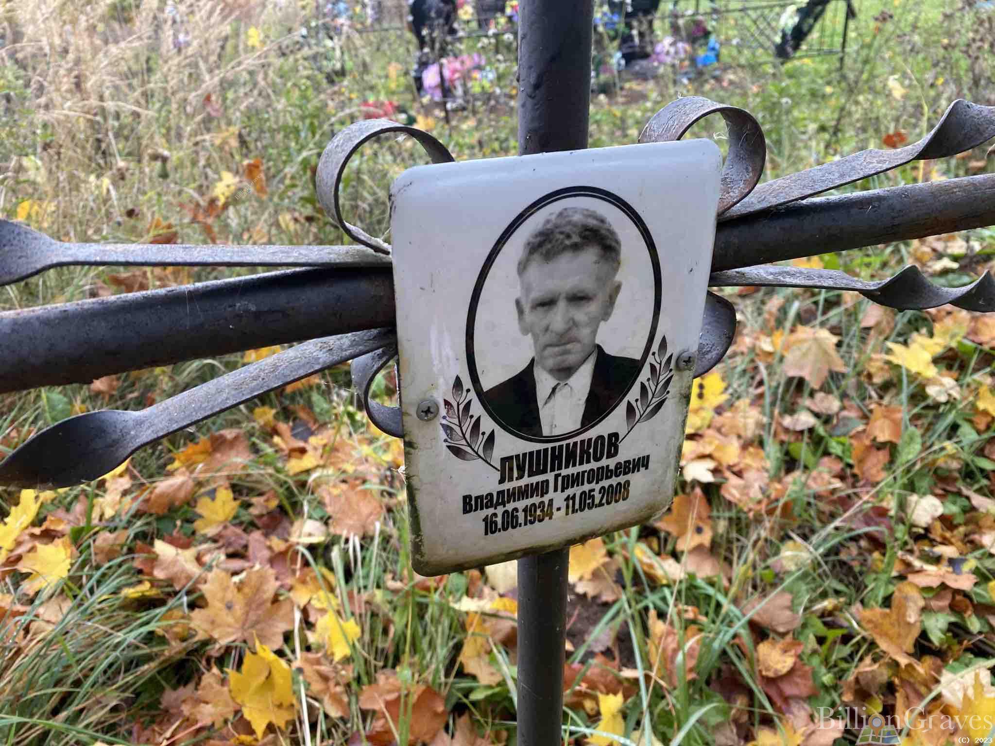 Лушников Владимир Григорьевич
