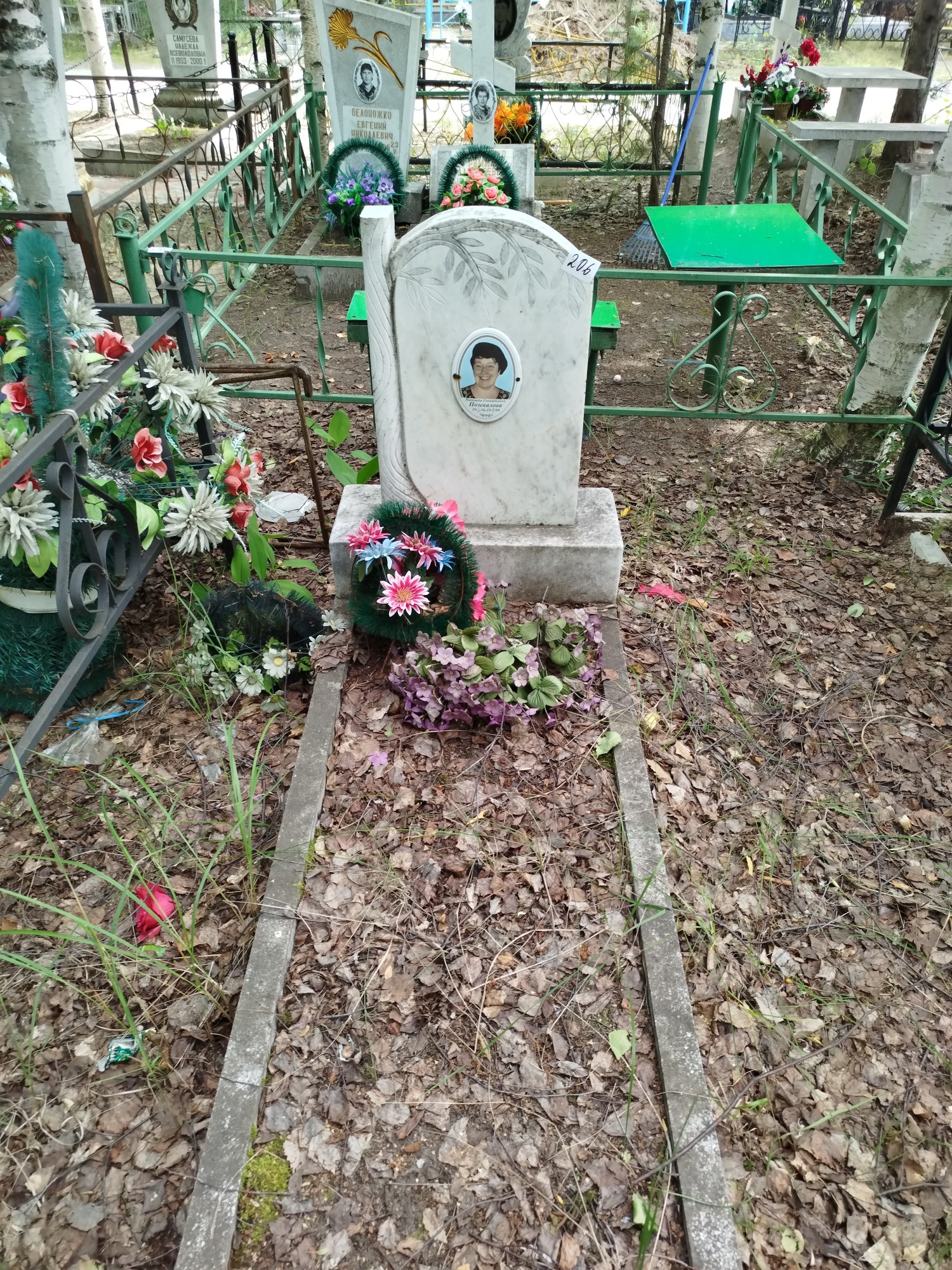 Позевалова Надежда Геннадьевна