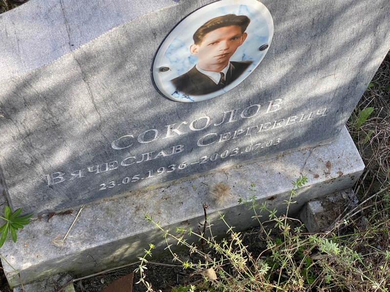 Соколов