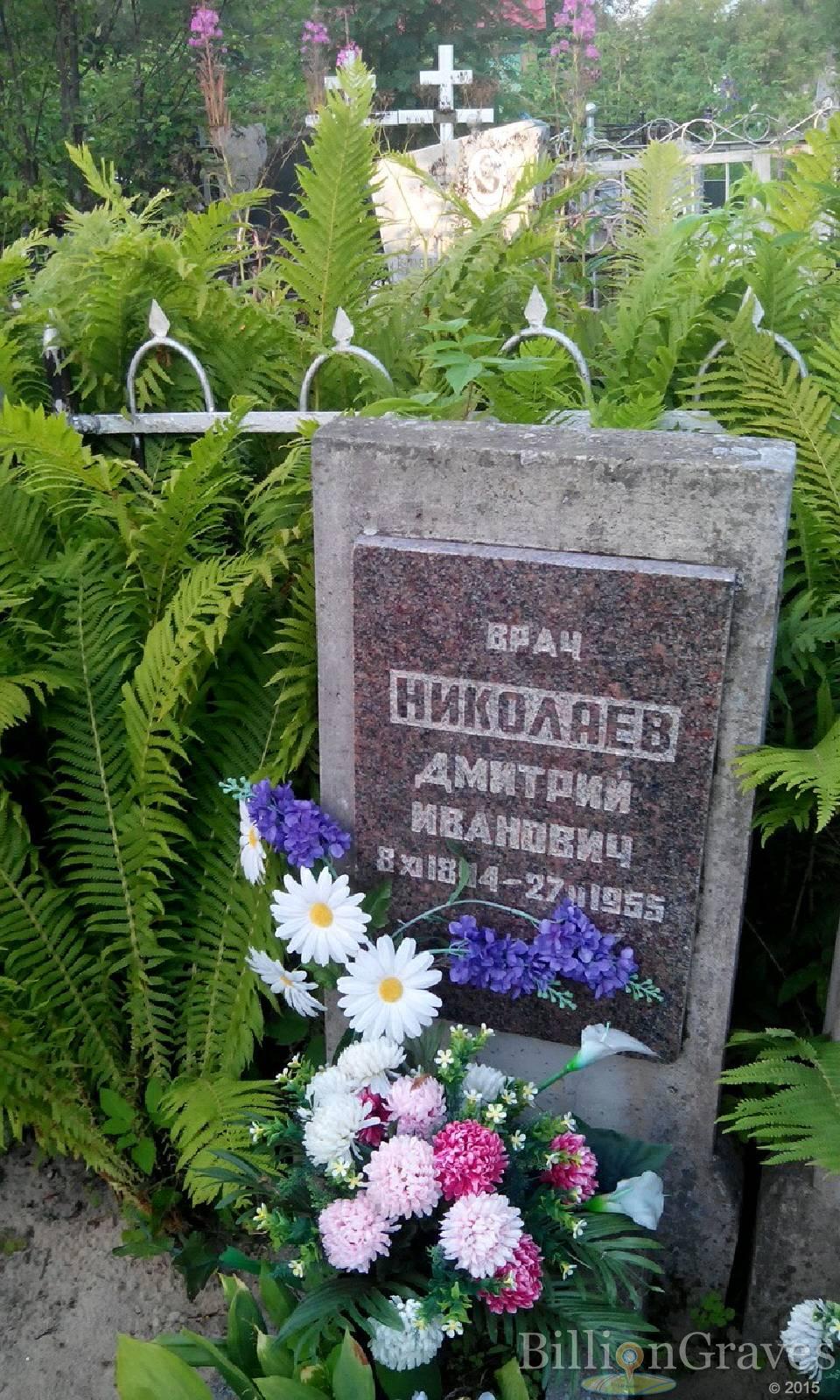 Николаев Дмитрий Иванович