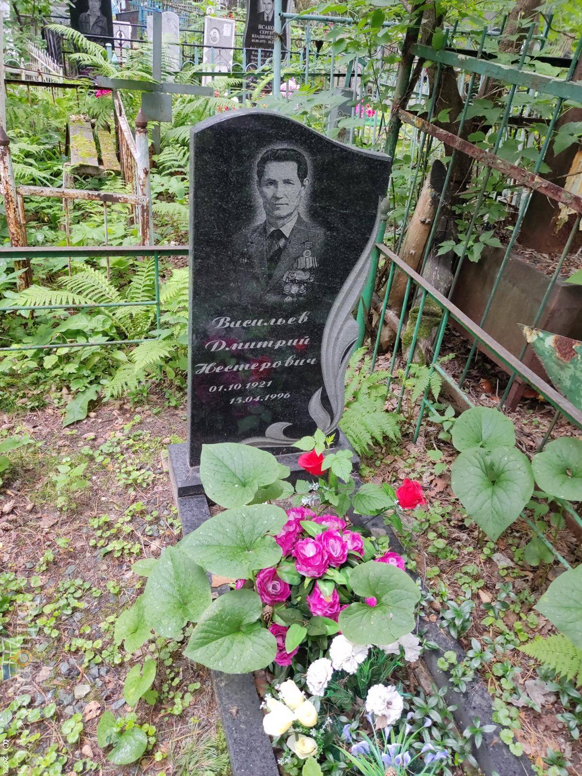 Васильев Дмитрий Нестерович