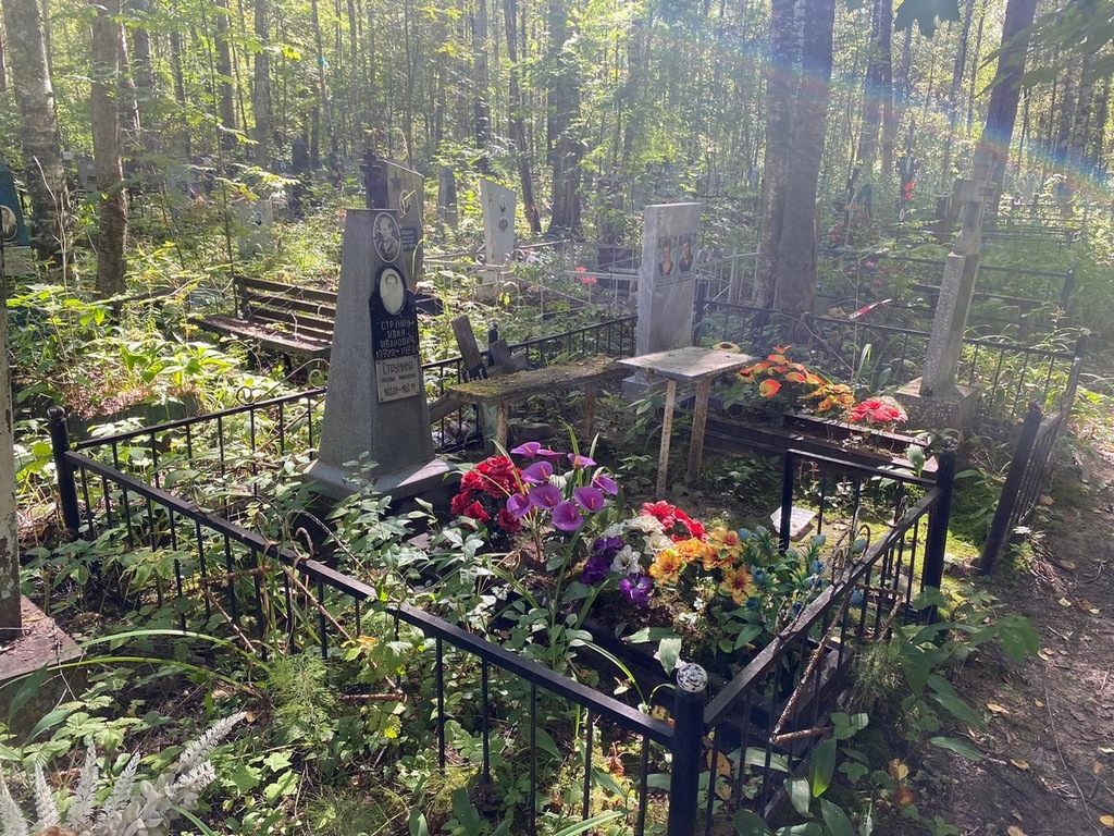 Струнин Иван Иванович