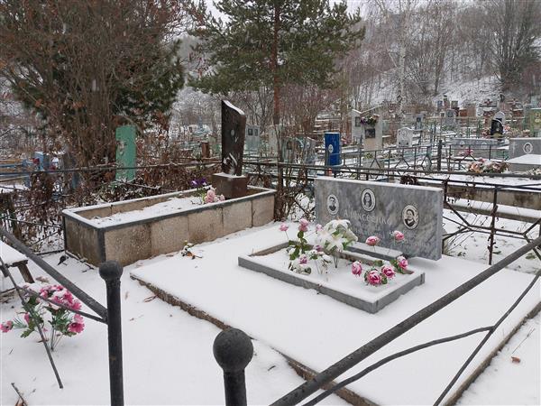 Алексеенко Михаил Никитович
